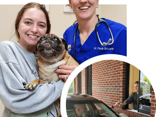  Comprehensive Guide to Veterinary Services at Irving Pet Hospital