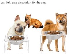  "Elevate Your Pet's Dining Experience with Premium Pet Food Toppers"