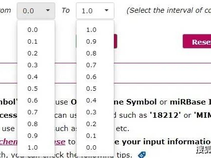 ### Long-Tail Keyword Title: 