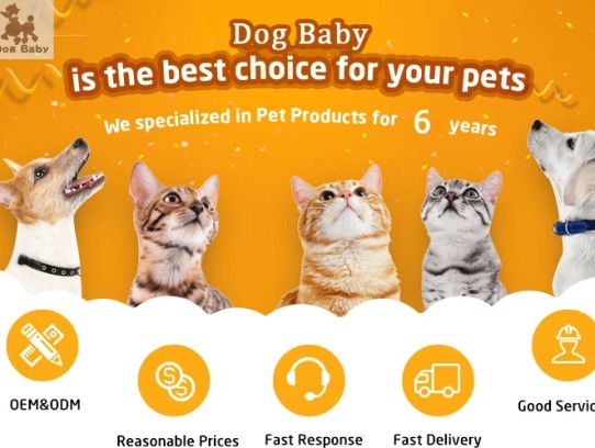 Pet Store to Buy Cats and Dogs: The Ultimate Guide to Finding Your Perfect Furry Friend